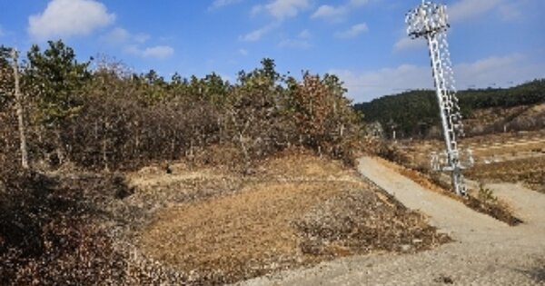 전라남도 보성군 보성읍 대야리 OOOOOO 임야 경매 물건 이미지