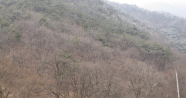 충청북도 보은군 마로면 적암리 OOOO 임야 경매 물건 이미지