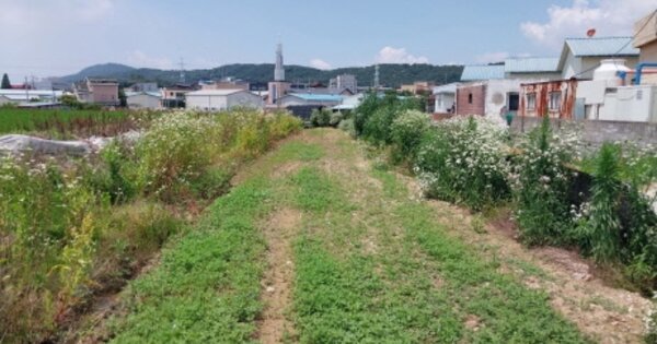 경기도 고양시 일산서구 가좌동 OOO 답 경매 물건 이미지
