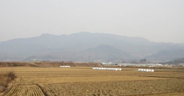 경상북도 상주시 청리면 덕산리 OOO 답 경매 물건 이미지