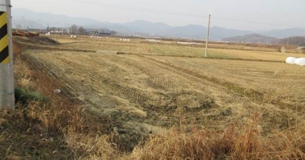 경상북도 상주시 청리면 덕산리 OOOO 답 경매 물건 이미지