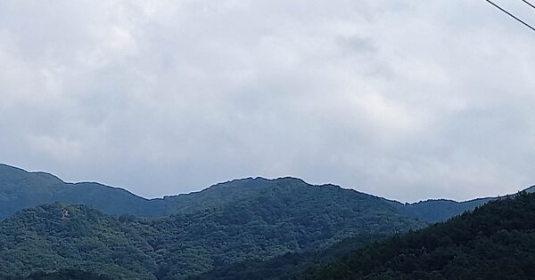 경기도 포천시 일동면 사직리 OOO 임야 경매 물건 이미지