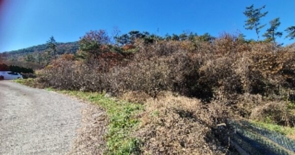 전라남도 화순군 도곡면 쌍옥리 OOO 답 경매 물건 이미지
