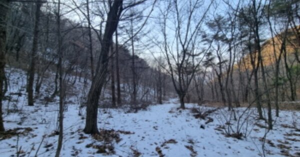 경기도 가평군 청평면 상천리 OOOOOOO 임야 경매 물건 이미지