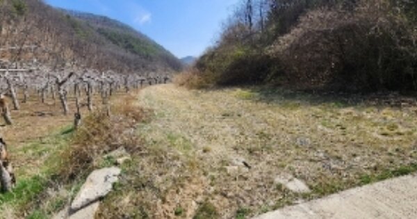 경상북도 안동시 길안면 백자리 OOOOO 전 경매 물건 이미지