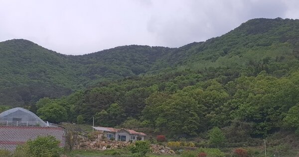 경상남도 창원시 마산합포구 진동면 교동리 OOO 임야 경매 물건 이미지