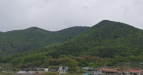 경상남도 창원시 마산합포구 진동면 교동리 OOO 임야 경매 물건 이미지