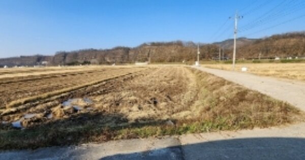 경상북도 안동시 일직면 귀미리 OOO 답 경매 물건 이미지