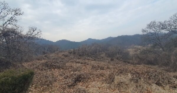 경상남도 함안군 대산면 옥렬리 OOO 전 경매 물건 이미지