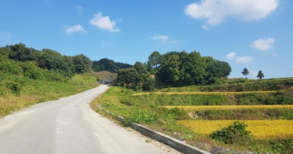 충청남도 아산시 음봉면 산동리 OOOO O OOOO 임야 경매 물건 이미지