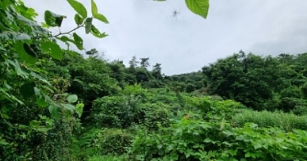 경상남도 창원시 의창구 소답동 OOO 답 경매 물건 이미지