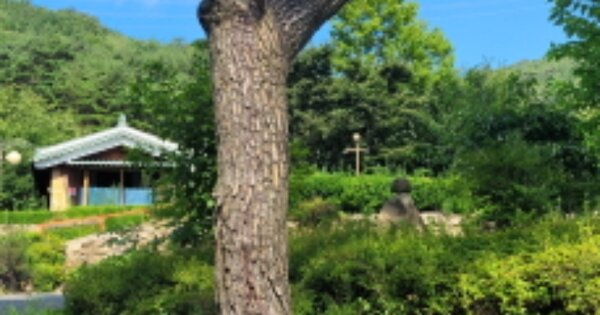 경상북도 청도군 각북면 덕촌리 O O OOO 단독주택 경매 물건 이미지