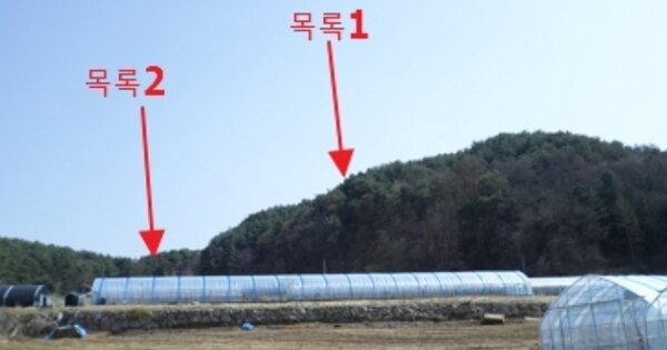 강원도 횡성군 둔내면 자포곡리 OOOOOO O OOO 임야 경매 물건 이미지