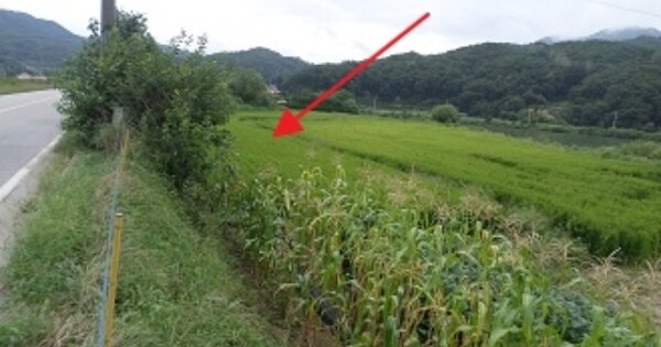 강원특별자치도 원주시 귀래면 귀래리 OOOO 답 경매 물건 이미지