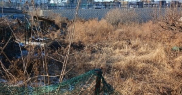 인천광역시 강화군 강화읍 갑곳리 OOOOO 전 경매 물건 이미지
