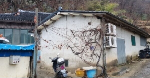 전라북도 순창군 쌍치면 금평리 OOO O OOO 단독주택 경매 물건 이미지