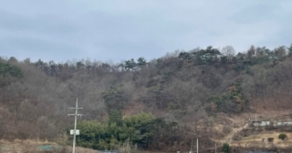 경상남도 진주시 대곡면 광석리 OOOOO 임야 경매 물건 이미지