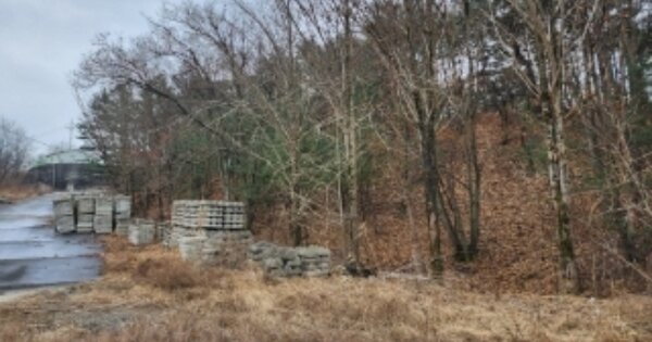 경상북도 안동시 임하면 신덕리 OOOOOO 임야 경매 물건 이미지