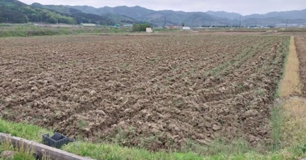 충청남도 청양군 운곡면 미량리 OOOOOO 답 경매 물건 이미지