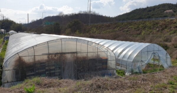 경상남도 함양군 함양읍 백천리 OOOOO 답 경매 물건 이미지