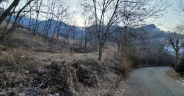 충청북도 진천군 문백면 옥성리 OOO O OOO 공장용지 경매 물건 이미지