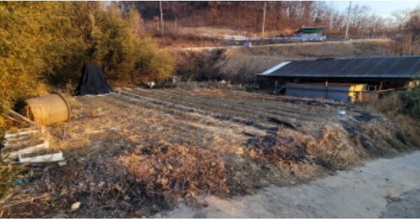 경상북도 영천시 도림동 OOO 대지 경매 물건 이미지