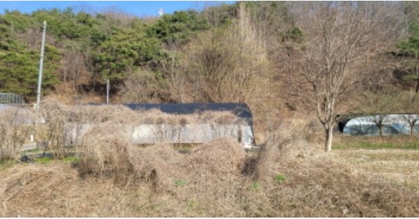 경상북도 칠곡군 지천면 심천리 OOOOO 답 경매 물건 이미지