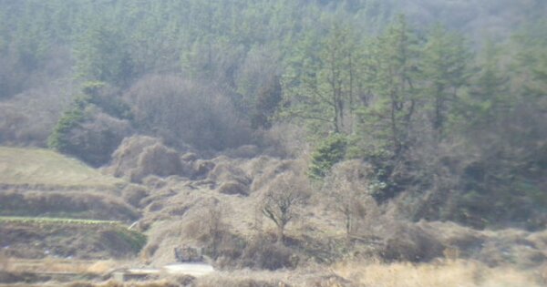 전라남도 진도군 임회면 사령리 OOOOO 전 경매 물건 이미지