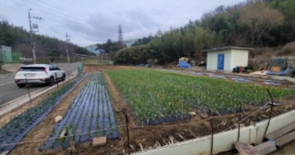 경상북도 포항시 남구 대송면 송동리 OOO 답 경매 물건 이미지