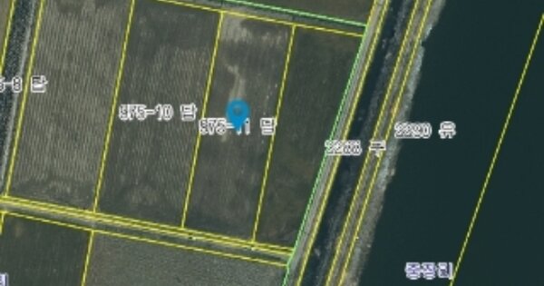 충청남도 태안군 안면읍 신야리 OOOOOO 답 경매 물건 이미지