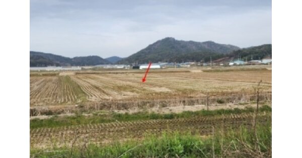 전라남도 무안군 몽탄면 명산리 OOOOOO 답 경매 물건 이미지
