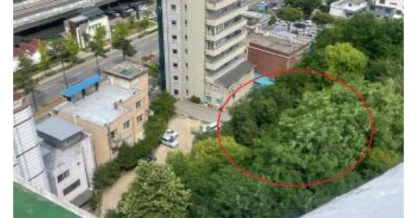 강원특별자치도 춘천시 온의동 OOOOO 임야 경매 물건 이미지