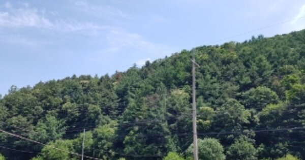 강원특별자치도 홍천군 서면 마곡리 OOO O OOO 임야 경매 물건 이미지
