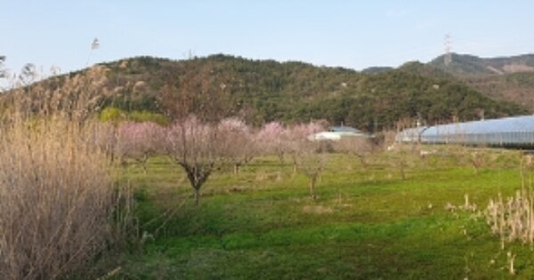 충청남도 예산군 예산읍 간양리 OOO O OOO 답 경매 물건 이미지