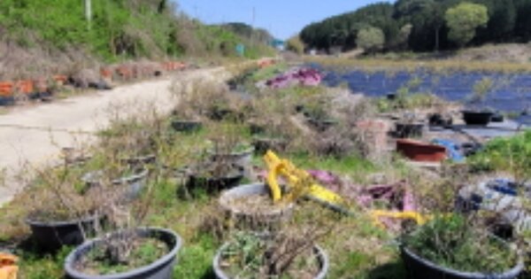 전북특별자치도 군산시 성산면 고봉리 OOOO 답 경매 물건 이미지