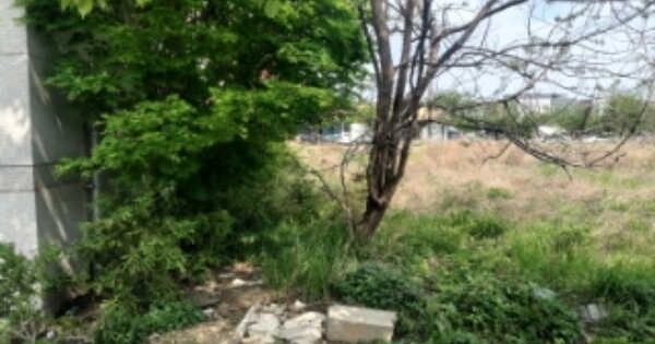 충청남도 당진시 송산면 유곡리 OOOO 대지 경매 물건 이미지