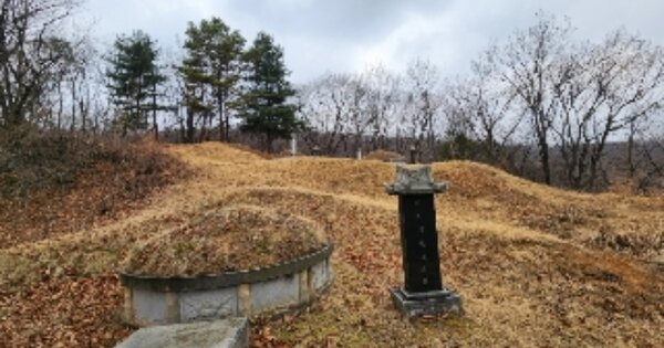 경기도 양주시 은현면 선암리 OOOOO 임야 경매 물건 이미지