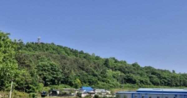 경상남도 고성군 고성읍 대독리 OOO 임야 경매 물건 이미지