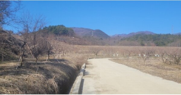 경상북도 경산시 와촌면 신한리 OOOOO O OOO 답 경매 물건 이미지