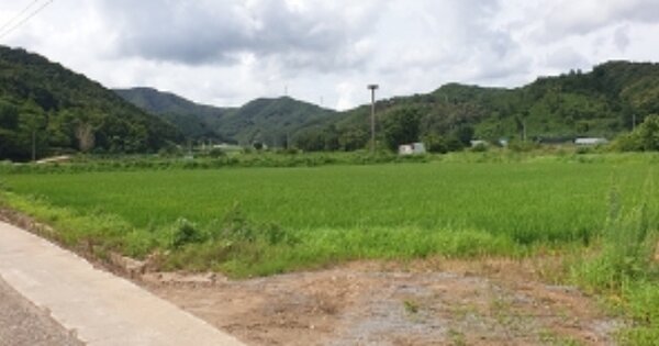 충청남도 예산군 대술면 궐곡리 OOOOO 답 경매 물건 이미지