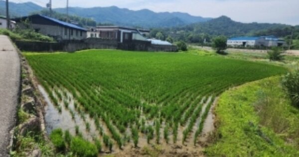 충청북도 청주시 청원구 내수읍 묵방리 OOOOO 답 경매 물건 이미지