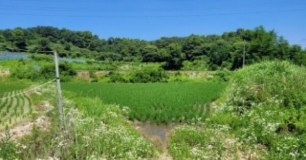 충청북도 청주시 흥덕구 휴암동 OOO 전 경매 물건 이미지