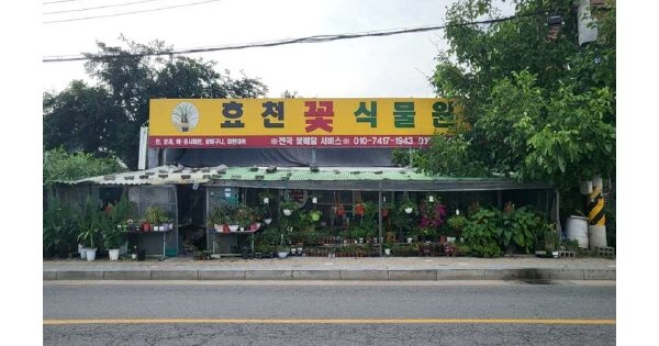 충청북도 청주시 청원구 내수읍 내수리 OOOO 답 경매 물건 이미지