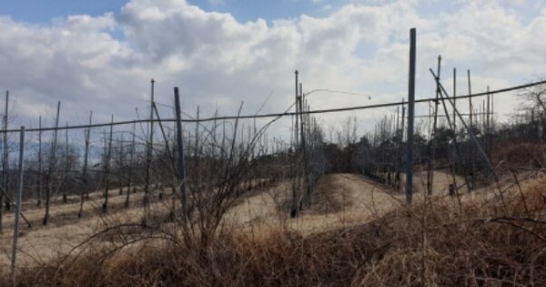 경상남도 거창군 거창읍 동변리 OOOO 전 경매 물건 이미지