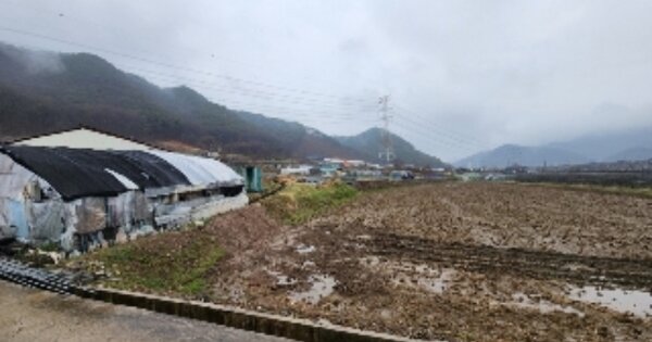 충청북도 옥천군 군서면 은행리 OO 답 경매 물건 이미지