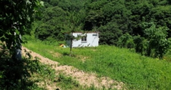 경상북도 경주시 현곡면 래태리 OOO O OOO 답 경매 물건 이미지