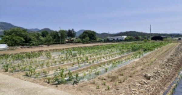 경상남도 고성군 고성읍 월평리 OOOOO 전 경매 물건 이미지