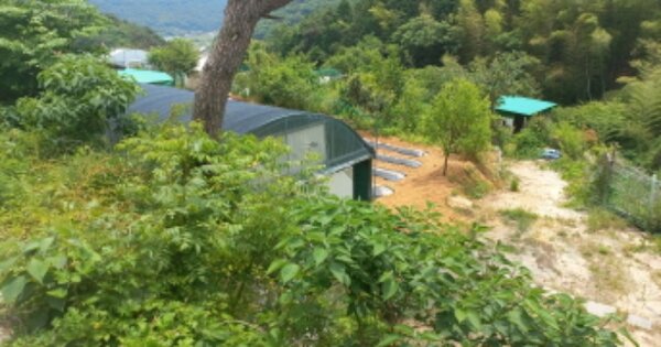 경상남도 거제시 연초면 다공리 OOO O OOO 답 경매 물건 이미지