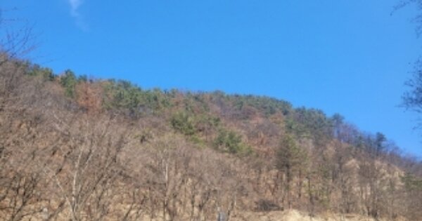 경상북도 포항시 남구 동해면 발산리 OOOOO 임야 경매 물건 이미지