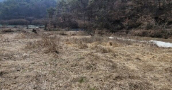 경상남도 진주시 이반성면 하곡리 OOOOO O OOO 동물 및 식물 관련시설 경매 물건 이미지